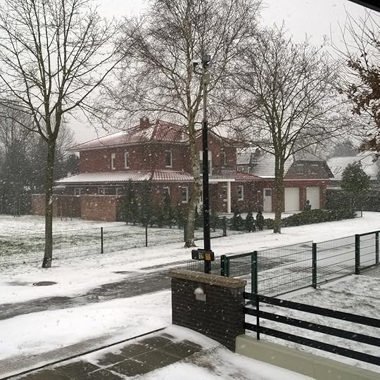 Snowy neighbour house