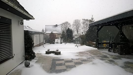 Snowy garden