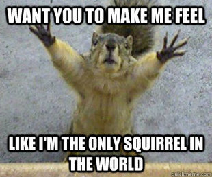 only squirrel in the world