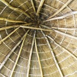 Thatched ceiling/roof