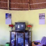 TV and glass cabinet. No electricity, but solar may work one day.