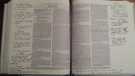 Lisas Bible