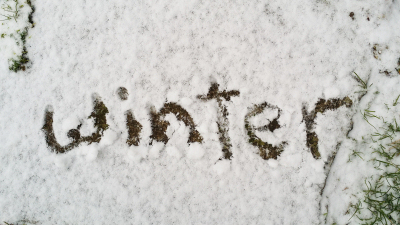 winter
