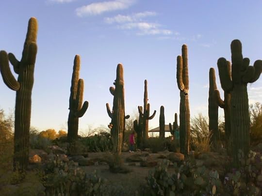cactus_forest2