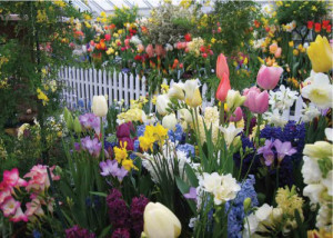 harding-fixer-upper-flowers