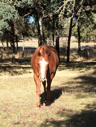 12227129_10153388316548208_43893461673539470_n