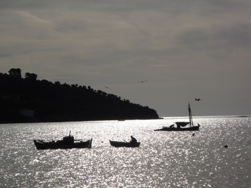 all that trails behind