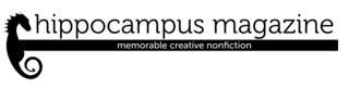 HM-logo-banner-21