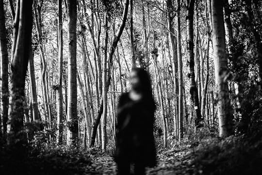 22301758289_a98f41abdf_z