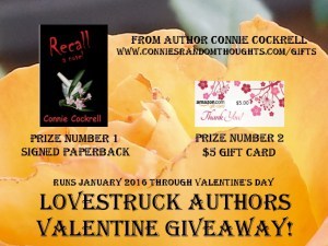The Next Giveaway