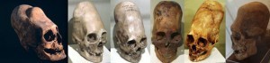 Skulls-Low-425925