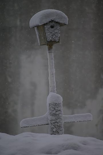 Snow Day - bird box