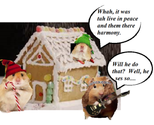 zmed-bbbbbbbubb290909