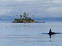 Photo: Tell Christy Clark to keep her promise to protect the Great Bear Sea