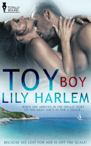 toyboy_800