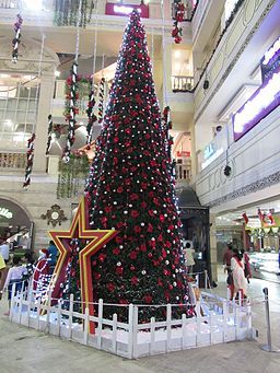 Huge-christmas-tree-at-city-center-chennai-1