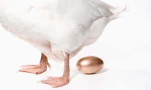Goose and golden egg