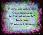 EVO Nation Promo 1