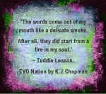 EVO Nation Promo 2