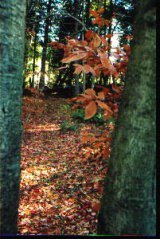 05-07-2007-10-12-28-171