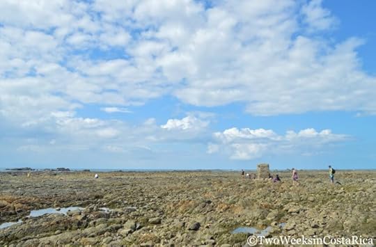 The Whale Tail at Uvita’s Marino Ballena National Park