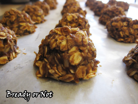 Healthy No Bake Maple Cookies