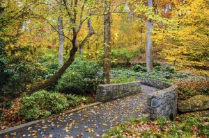 The Divine Office is a Path of Prayer (Photo: Georgia Botanical Gardens; courtesy of Shutterstock)