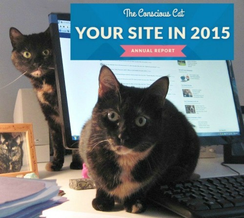 Conscious-Cat-annual-report