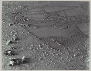 Dust Breeding, 1920, printed ca. 1967 Man Ray (American, 1890–1976) האבק של דושאמפ