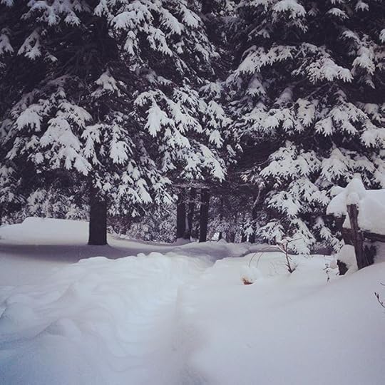 Path to silence #winterwonderland #igersquebec #igerslaurentides #laurentides #snow #winter