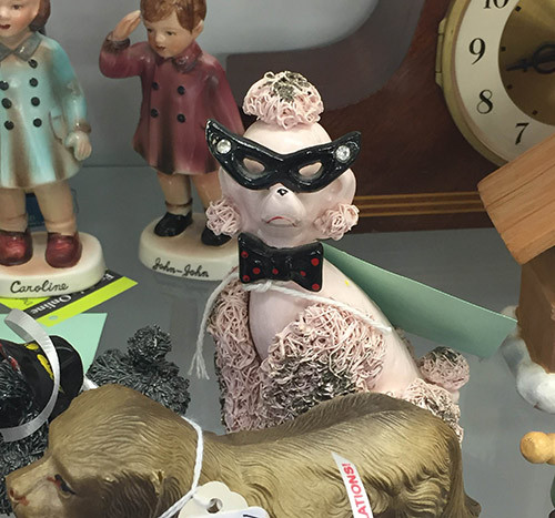 Dogs Wearing Glasses