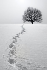 footsteps