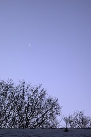 Crescent moon over the snowy roof of our neighbors' house.