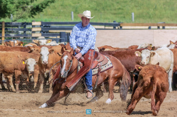 Cutting-Horse-004-001