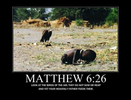 Matthew-60079406008