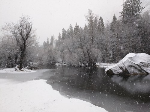 Mirror Lake 2016