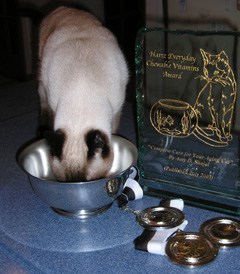 seren_award