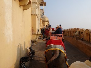 DSC06516