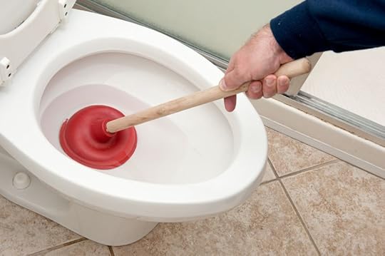 unclog toilet
