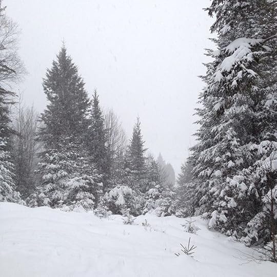 Beauty #winter #winterwonderland #igersquebec #laurentides #snow #silence #tempete #tempetedeneige #nofilter