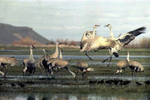 Photograph by David B Marshall