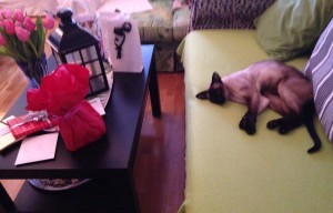 Hawkeye väntar på att det ska börja