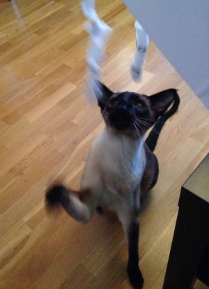 Snören - så himla roligt