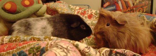 Boyd and Raylan, Swearengen and Bullock, Ozymandias and Danger Crumples. 