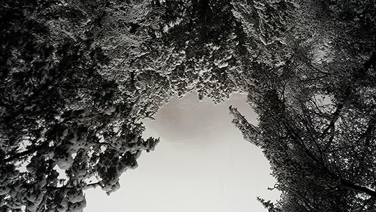 Snowy Sedona with the mountains fogged out.
