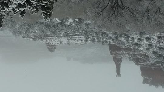 Boynton Canyon after it snowed