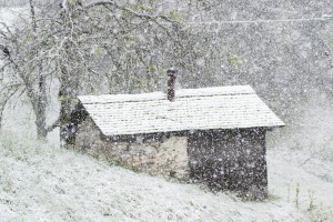 Cabin2