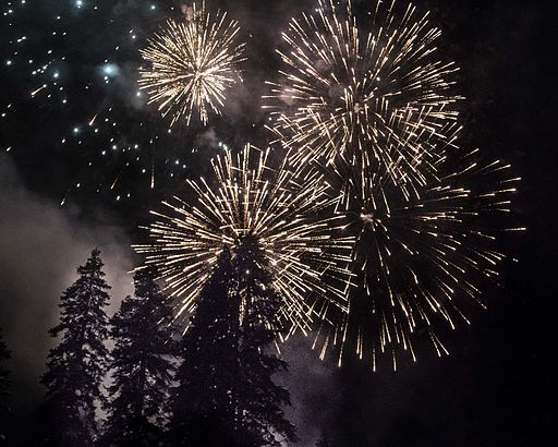 Happy New Year 2016 (23803545640)