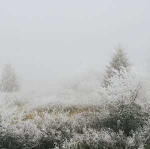 Screen Shot 2016-01-09 at 9.15.35 PM