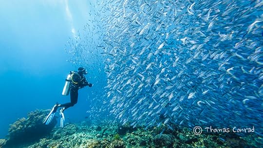 Photograph Got some Fish by Thomas Conrad on 500px